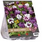 Baltus Urban Flowers Proud and Purple bloembollen per 18 stuks